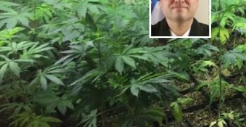 זיכוי כפול של נאשמים בגידול קנאביס עקב חיפוש לא חוקי