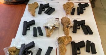 סוכלה הברחת 12 אקדחים מגבול לבנון