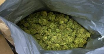 בן 66 מלוד חשוד בהחזקת שני "קרלו" וקנאביס