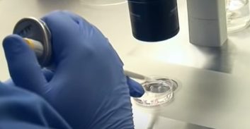 תקדים עולמי: אישה תשתמש בזרע אחיה המת לפונדקאות בחו"ל