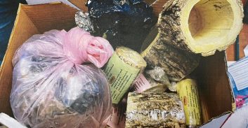 אזרח תאילנדי מקרית מלאכי חשוד בייבוא יותר מחצי ק"ג קריסטל