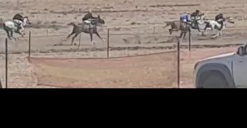 פוסטה TV: מרוץ סוסים והימורים בלתי חוקיים בצפון