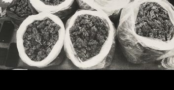 העליון: "הסיכון החברתי הנשקף מסחר בקנאביס אינו אותו סיכון מסחר בקוקאין"