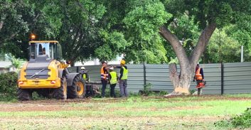 מחווה ליפי הנפש בעיריית תל אביב לרגל ועידת האקלים בגלאזגו: עשרות עצים ביד אליהו נכרתו לטובת פרויקט נדל"ן