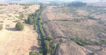 שלושה בנים מבית זרזיר חשודים ברצח אמא שלהם בת ה-46