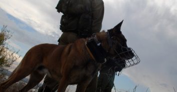 נדחתה תביעת פלסטיני שנפגע מכלב צה"לי: "חסינות מכוח פעולה מלחמתית"