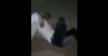 פוסטה TV: קטטת אברכים בפארק אשדוד שהסתיימה בדקירה אכזרית