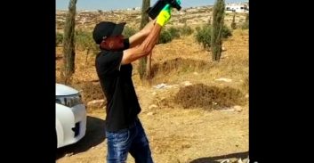 הפרקליטות ויתרה על הגשת כתב אישום בהסתמך על סרטון טיקטוק