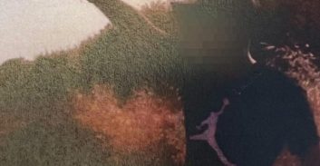 הסדר טיעון לצעירים מרמלה שתיעדו את עצמם מחזיקים בכלי נשק