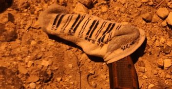 שני תושבי הפזורה נתפסו עם אקדח ו-5.5 ק"ג קנאביס