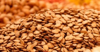 שבעה נאשמים בגניבת גרעיני אבטיח בשווי מיליון שקל