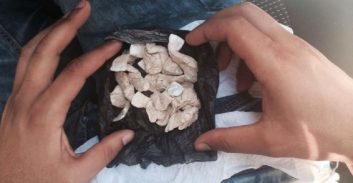 חשד: מוכר למשטרה מכר קריסטל לשוטר סמוי והחזיק הרואין בגרביים