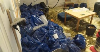 פוסטה TV: חמש דירות בבניין מגורים חוברו לצורך הקמת מעבדת הידרו