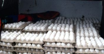 חשד: משווק ביצים באשדוד סחט ותקף אחר על רקע סכסוך עסקי