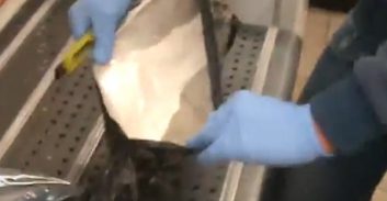 4.5 שנות מאסר לתושבת נתניה בתיק ייבוא חמישה ק"ג קוקאין