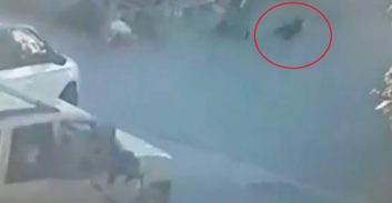 בית ג'אן: צעיר נאשם שירה בכלבים משוטטים