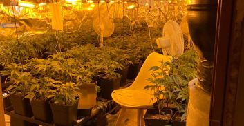 פוסטה TV: כ-850 שתילי קנאביס במעבדת הידרו באזור התעשייה בנתניה 