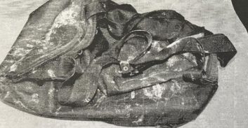 הסדר טיעון: למי שייך תיק עם 700 גרם קנאביס על גג בניין בראשל"צ?