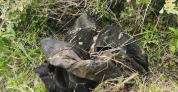 סוכלה הברחת אמל"ח בגבול ירדן בשווי שני מיליון שקלים