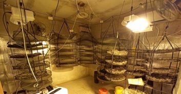 העליון הפחית חודשי מאסר לאדם שהורשע בהפעלת מעבדות קנאביס