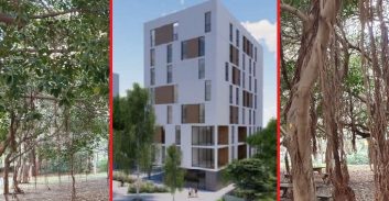 ת"א: תושבי נווה אביבים נגד כריתת עצים בשכונת רבינא