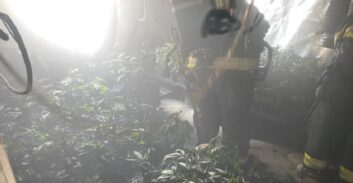 עבודות שירות לנאשם בתיק מעבדת הידרו עם 121 קילוגרם קנאביס