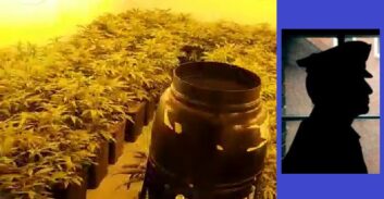 שוטר סיור נעצר בחשד להפעלת מעבדות הידרו בצפון