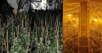 אישום: גידל מאות קילוגרמים קנאביס בחדר שהיה בית כנסת בטבריה