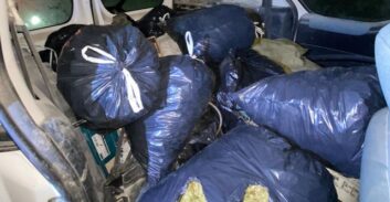 קריות: שחרור ממעצר לחשודה בגידול 83 ק"ג קנאביס בדירה שכורה