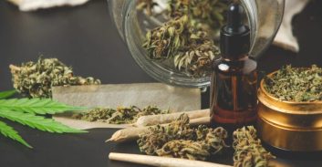 איחוד תיקים: עבודות שירות על גידול והחזקת יותר מ-150 ק"ג קנאביס