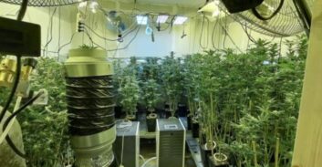 97 ק"ג קנאביס במעבדת הידרו בקרית אתא