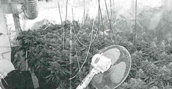 ראשל"צ: העונש לצעיר שגידל 61 ק"ג קנאביס בדירה שכורה