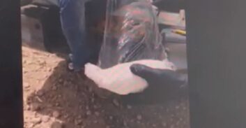 השוטרים הגיעו לבית ביפו, האחות השליכה תיק עם סמים מהחלון