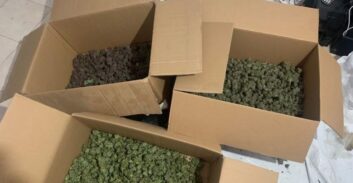 אישום: הבן ניהל מערך ארצי להפצת קנאביס, אביו שימש כשליח