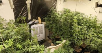 שתי מעבדות, חמישה עצורים, 85 קילוגרם קנאביס