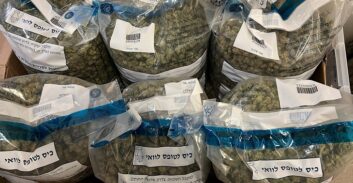 35 ק"ג ומאות סיגריות קנאביס אלקטרוניות בדירתו של צעיר מאור יהודה