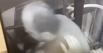 חיפה: כתב אישום נגד נוסע שתקף באלימות קשה נהג אוטובוס