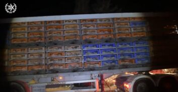 להב 433 – חשד: ארגון פשע אבו לטיף השתלט על משחטת עופות