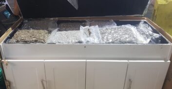 חשוד נוסף בתיק ייבוא 21 ק"ג קנאביס בתוך ארונות מטבח מחו"ל