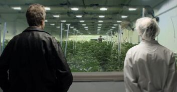 "עם כפכפים ושורטס": כך נגנבו 36.5 ק"ג ממפעל לייצור קנאביס