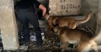 מטען חבלה מוכן להפעלה, סמים ותחמושת נתפסו ברחובות