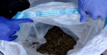 בנו של עובד ציבור נעצר בתיק תפיסת 191 ק"ג מריחואנה