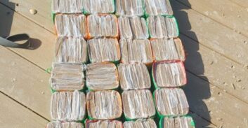 עשרות חבילות חשיש נפלטו אל חופי הים ברחבי הארץ