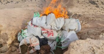 200 חממות וטון וחצי קנאביס הושמדו במבצע בשטחי האש בדרום