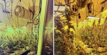 העונשים בתיק גידול 55 ק"ג קנאביס בדירה שכורה בקריות