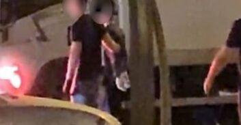 שלושה עצורים בניסיון רצח אכזרי בגן יבנה