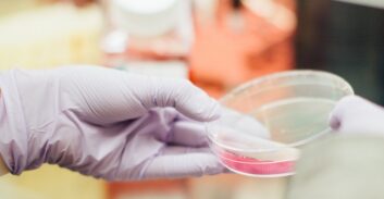 של מי הילד? בית דין רבני שלח אבא רשום לבדיקת זרע