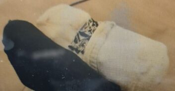 מאסר ושנת פסילה מנהיגה לבלדר סמים מרהט