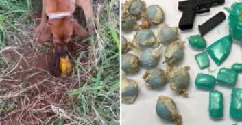 קוקאין, הרואין ו-MD במיליוני שקלים נחשפו קבורים בשכונת הרכבת בלוד