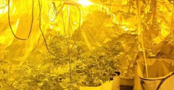 שוטרים איתרו חשוד בדקירות וחשפו מעבדת הידרו בדירת מסתור בבית שמש